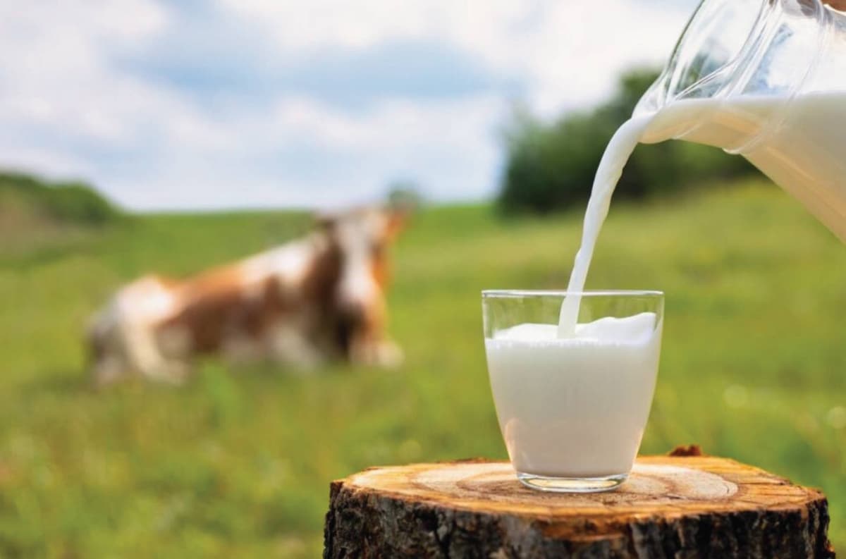 Grass and milk pouring